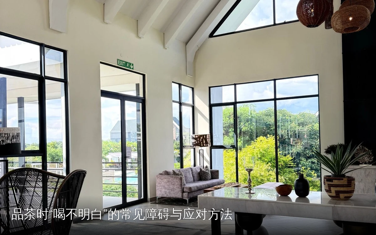 品茶时“喝不明白”的常见障碍与应对方法